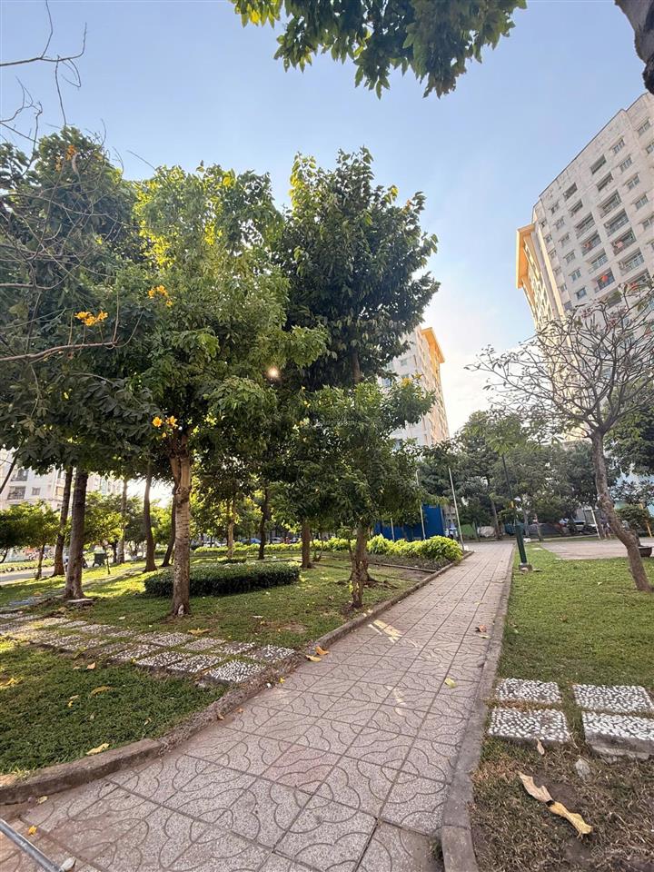 Chdv dòng tiền ổn định  vòng xoay lê đại hành  giáp khu lữ gia quận 10 ( 4.1x13m*4 tầng )