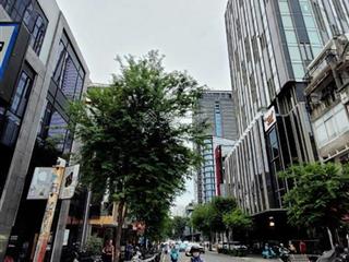 Bán nhà mt nam kỳ khởi nghĩa,p. bến nghé, quận 1 dt 15x37m  ctxd hầm + 10 tầng giá 350 tỷ tl