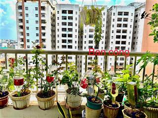 Cần cho thuê căn hộ bàu cát ii, p10, q. tân bình. dt 58m 2pn 2wc, giá chỉ 8.9 triệu.  0934 010 ***