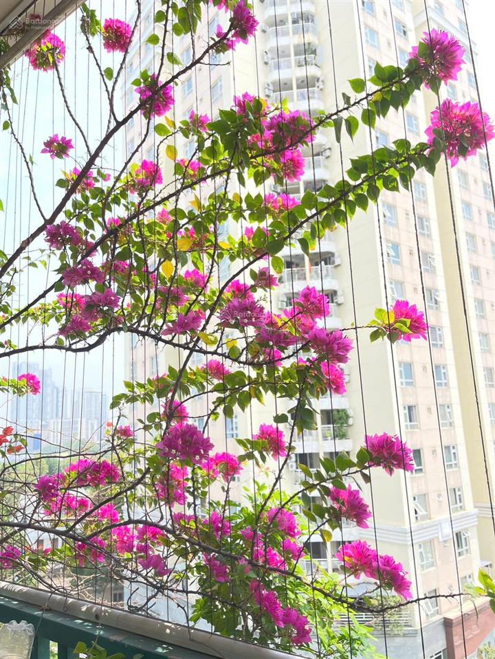 Bán căn hộ cao ốc an cư  an phú  quận 2 hcm