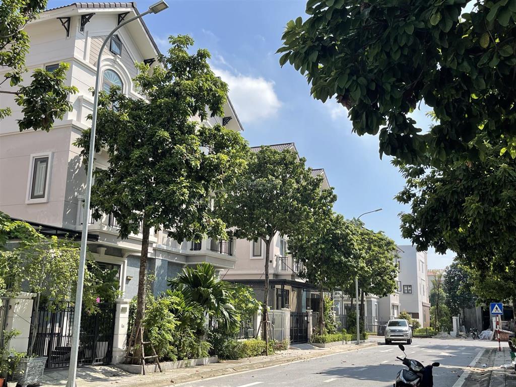 Biệt thự vsip từ sơn hơn 8 tỷ sở hữu ngay 135m