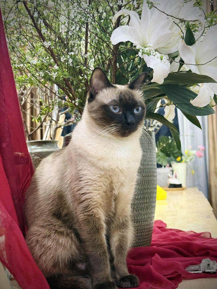 Chính chủ bán 2PN 83m² Goldmark City-7 tỷ trung tâm Mỹ Đình, giáp Cầu Giấy