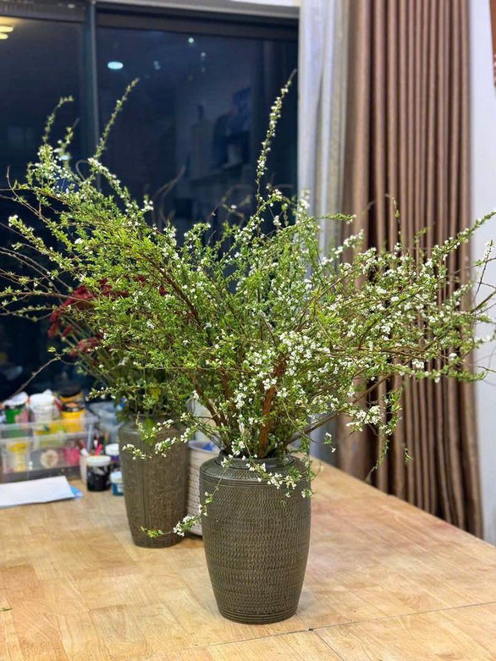 Chính chủ bán 2PN 83m² Goldmark City-7 tỷ trung tâm Mỹ Đình, giáp Cầu Giấy