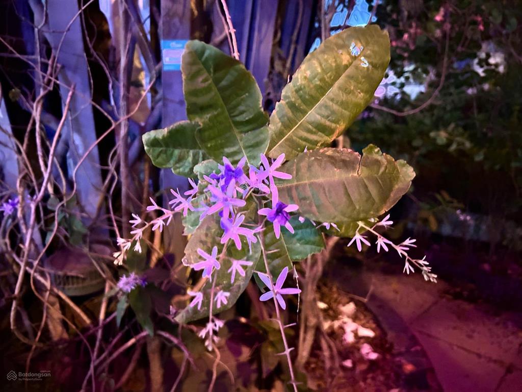 Siêu phẩm 3pn goldmark city 100m2  full nội thất cao cấp  sổ đỏ cất két  8.95 tỷ