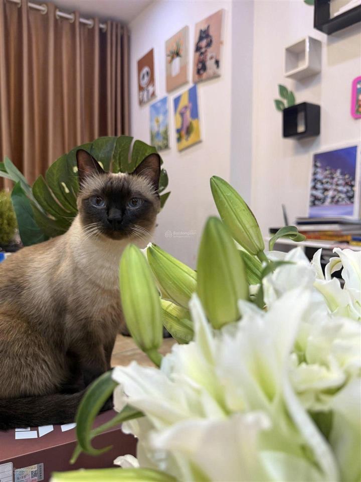 Căn góc đông nam 110m2 goldmark city  3pn full nội thất nhập khẩu  2 lô gia rộng  9.37 tỷ