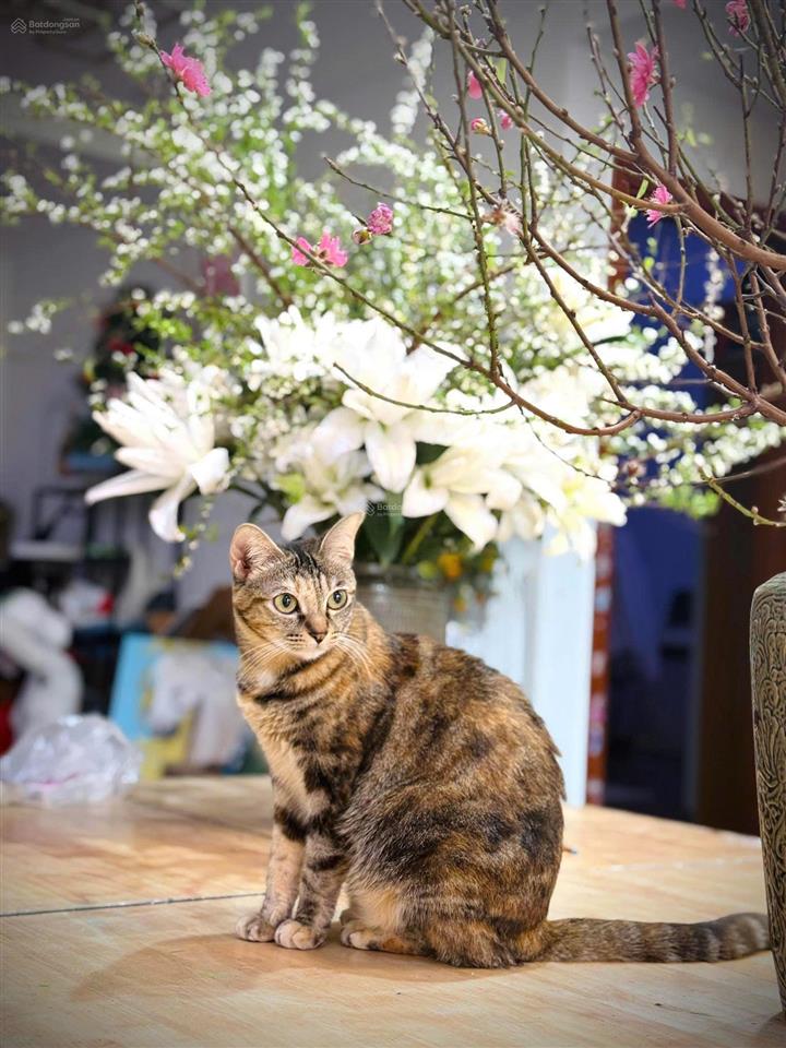 Bán cắt lỗ căn hộ 4pn 172m² goldmark city giá 11,5 tỷ biệt thự trên cao đẳng cấp