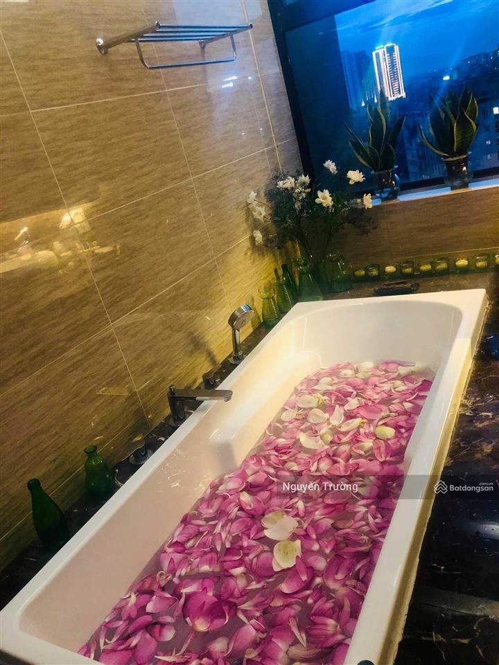 ( mới ) cần bán căn hộ 198m2, 4 phòng ngủ + 1, view ngắm pháo hoa, cc dolphin plaza. giá 15.5 tỷ