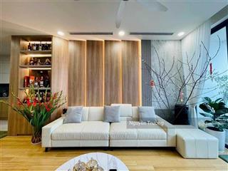 Cần bán căn hộ 142m², 4pn, view thoáng, full đồ đẹp, chung cư ct8  the emerald. giá 12,9 tỷ