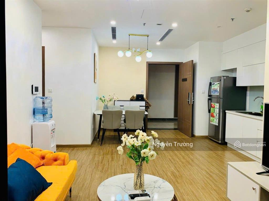 Bán căn hộ 50m2, 1 ngủ, cửa đb, ban công tn, full đồ đẹp, chung cư royal city. giá 7,5 tỷ