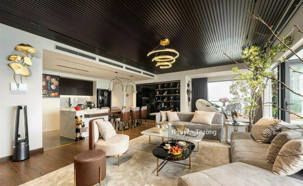 Cần bán căn penthouse 190m2, 4pn, ban công nam, view bắn pháo hoa, chung cư the zei. giá 19 tỷ