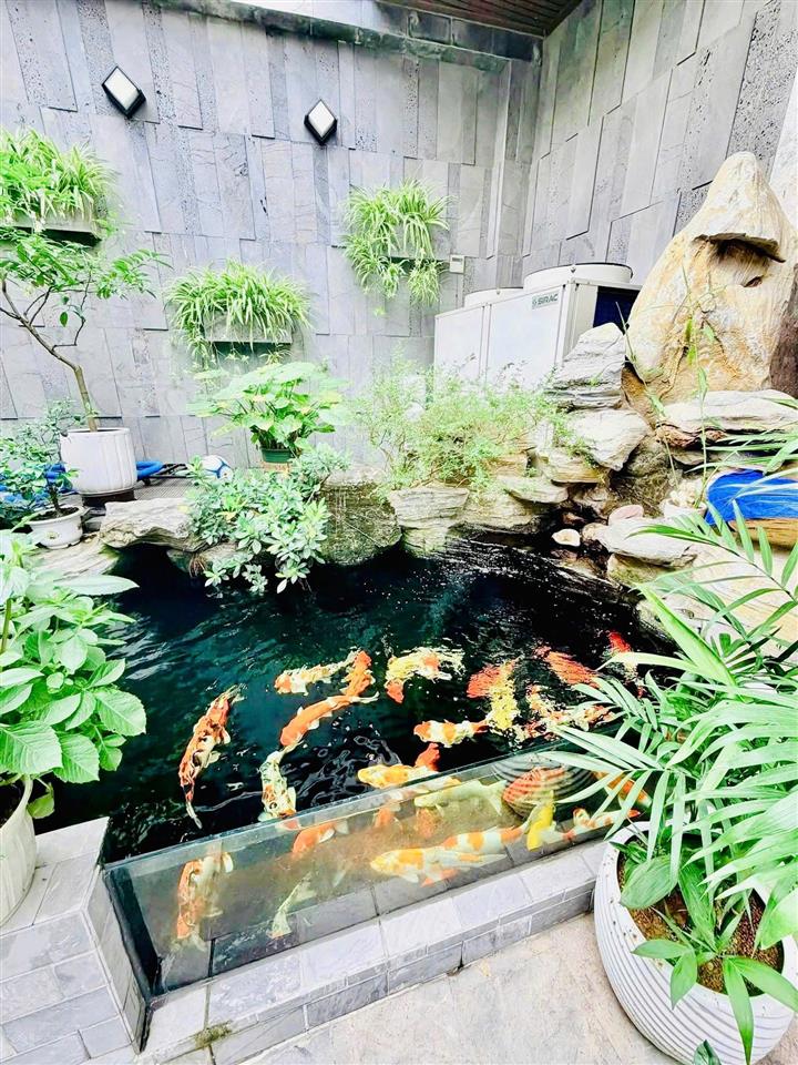 Nhà 5 tầng thang máy, 107m2, hẻm 12m có lề 5m hương lộ 2, không gian sống an yên giữa lòng đô thị