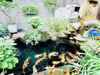 Nhà 5 tầng thang máy, 107m2, hẻm 12m có lề 5m hương lộ 2, không gian sống an yên giữa lòng đô thị