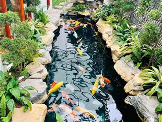 Bán song lập sao biển 1524 148.5m², full đồ gỗ gõ đỏ giá 30.5 tỷ vinhomes ocean park 1, 0963 892 ***