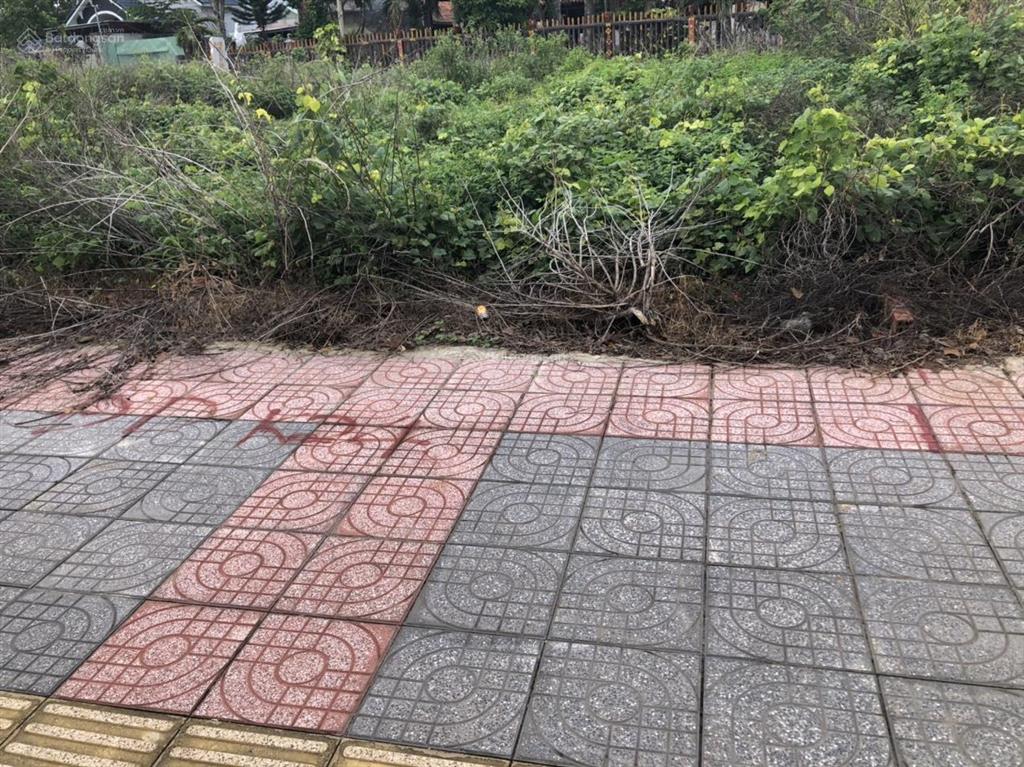 Bán đất mặt tiền đường trường chinh, đối diện công an xã phú mỹ, gần chung cư ecotown