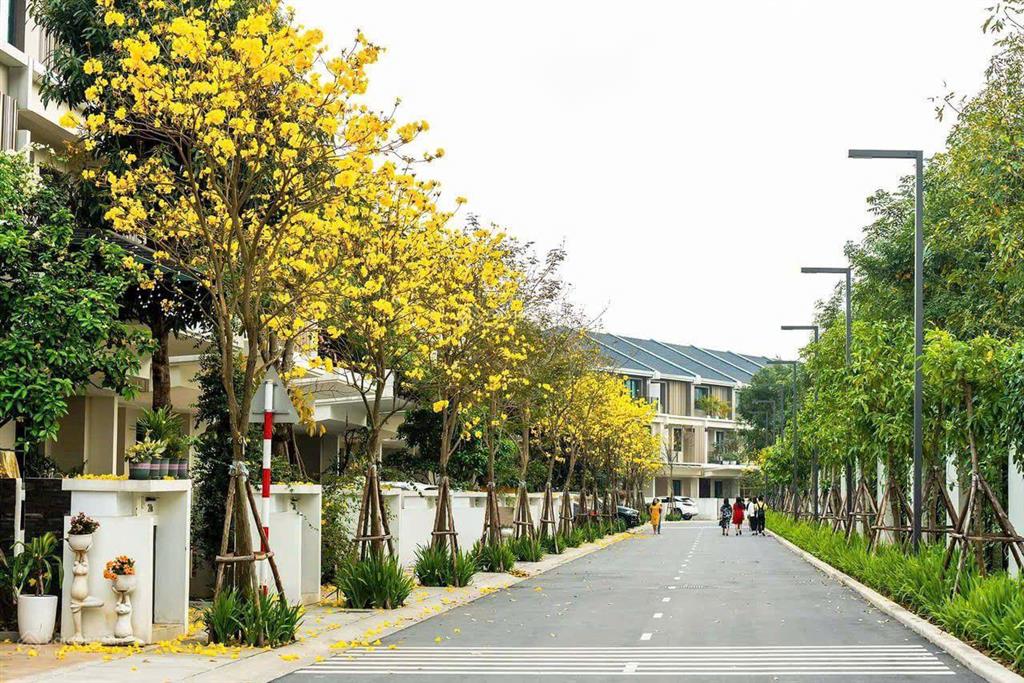 Bán căn lk cao cấp mension  park city 154m2, mt 7m, kề bể bơi, full nội thất xịn, chỉ 6x tỷ