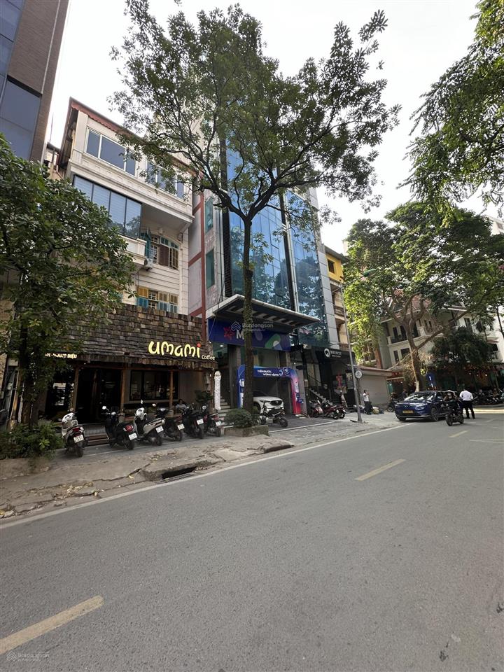 Bán nhà mặt phố võ văn dũng, 9 tầng thang máy, dt 50m, mt 4.5m, dòng tiền ổn định, chỉ 33 tỷ