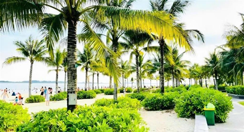 Cho thuê 1 năm studio ở ngay, tiện ích 5*, cách biển 300m, gần bãi cháy