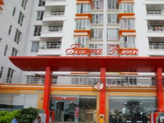 Căn hộ chung cư terra rosa nguyễn văn linh, khu phong phú, bình chánh  183m2  5pn chỉ 5tỷ280