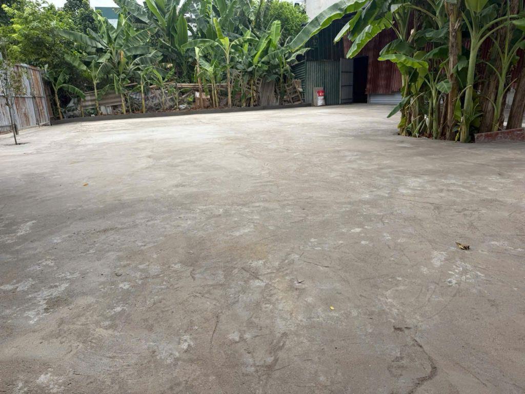 CHO THUÊ SÂN VƯỜN TẠI TÂN XUÂN, PHƯỜNG XUÂN ĐỈNH, HÀ NỘI. LH:0912172283.
