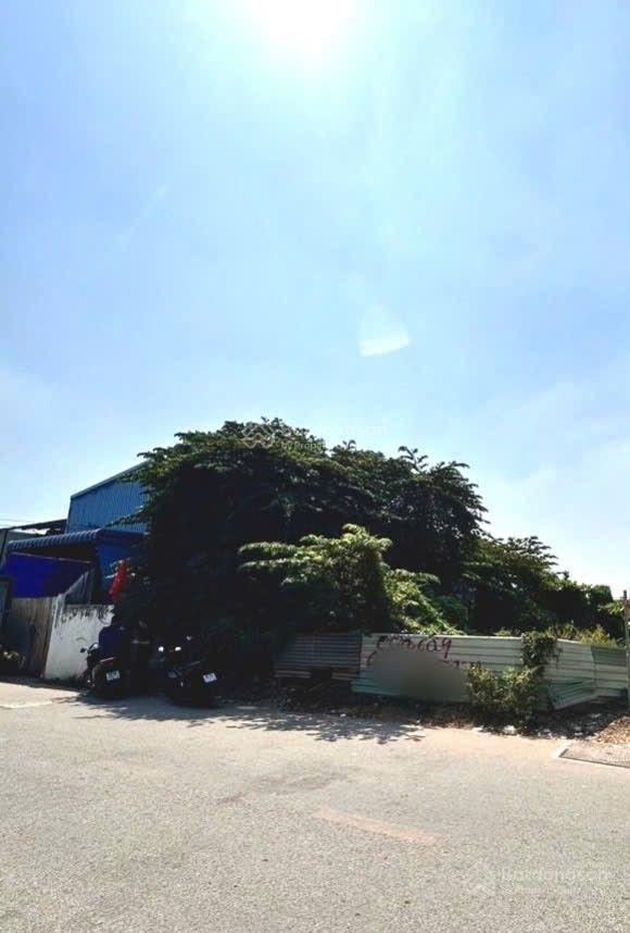 Bán lô đất thổ cư xây chdv 309,2m2 (6,8x45) đường an phú đông 25, phường an phú đông q12. đường 10m