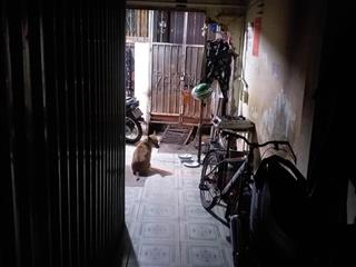 Cho thuê phòng trọ quận 6 không đặt cọc