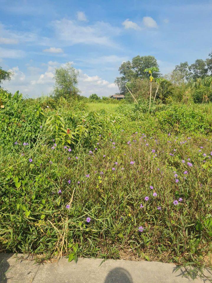 BÁN 3475M2 ĐẤT SẴN 845M2 THỔ - TẠI CHÂU THÀNH. LONG AN CŨ. LH:0773012099.