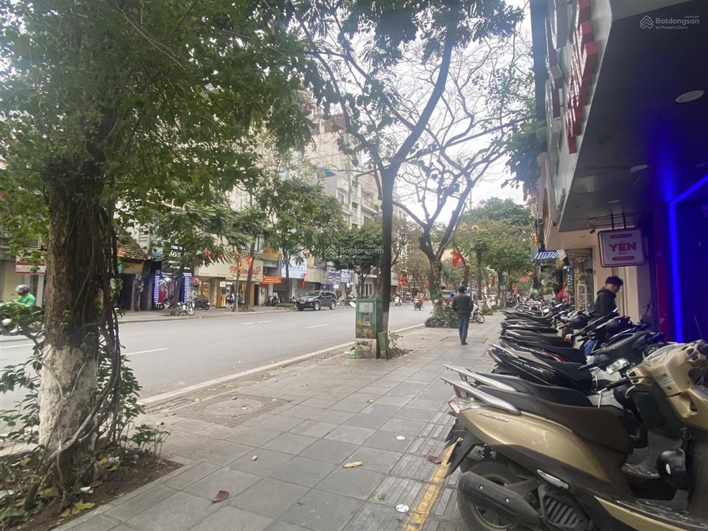 Siêu phẩm phố huế nội thất mới, 50m2 + kho 10m2, mặt tiền 6m, 33tr/tháng. riêng biệt, nhận ngay