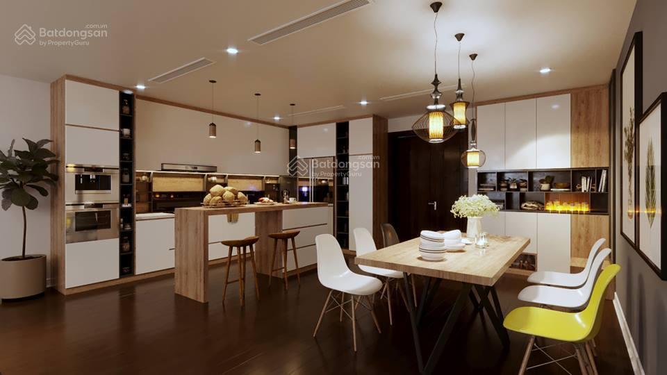 Cho thuê căn hộ tại the nelson private residences 29 láng hạ, 23pn, giá từ 25 triệu. 0981 497 ***