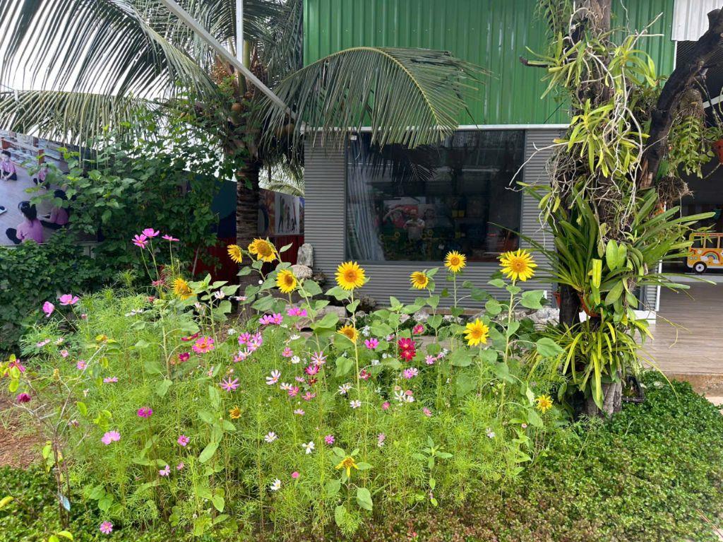BÁN TRƯỜNG MẦN NON THÔN GÒ SẠN, XÃ BẮC PHONG, HUYỆN THUẬN BẮC. LH:0906000199.