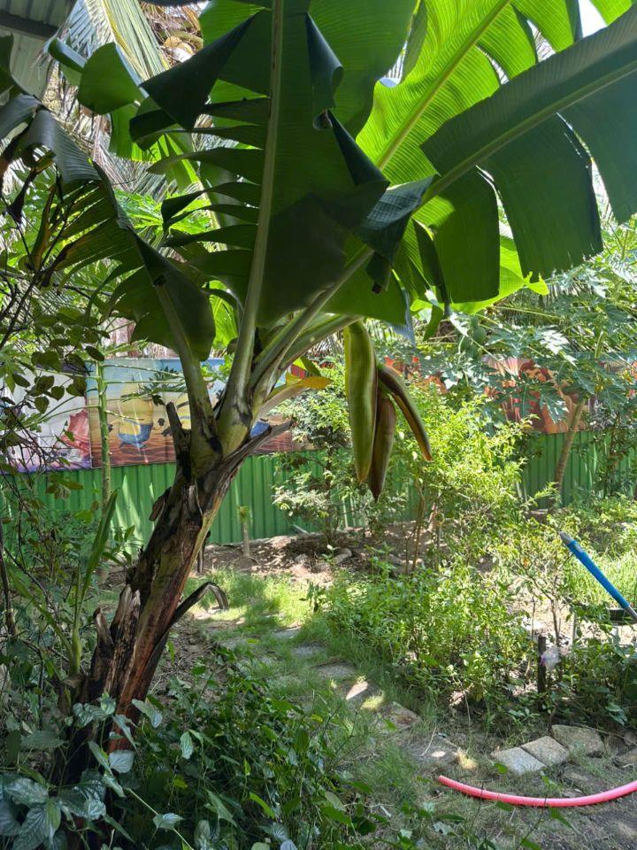 BÁN TRƯỜNG MẦN NON THÔN GÒ SẠN, XÃ BẮC PHONG, HUYỆN THUẬN BẮC. LH:0906000199.