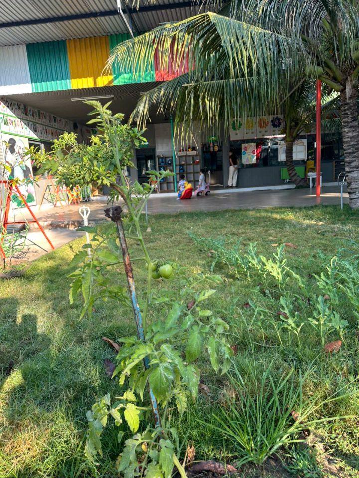 BÁN TRƯỜNG MẦN NON THÔN GÒ SẠN, XÃ BẮC PHONG, HUYỆN THUẬN BẮC. LH:0906000199.
