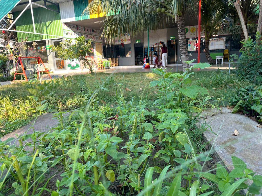 BÁN TRƯỜNG MẦN NON THÔN GÒ SẠN, XÃ BẮC PHONG, HUYỆN THUẬN BẮC. LH:0906000199.