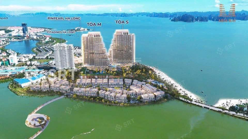 Studio view hồ nhạc nước tòa s aria bay