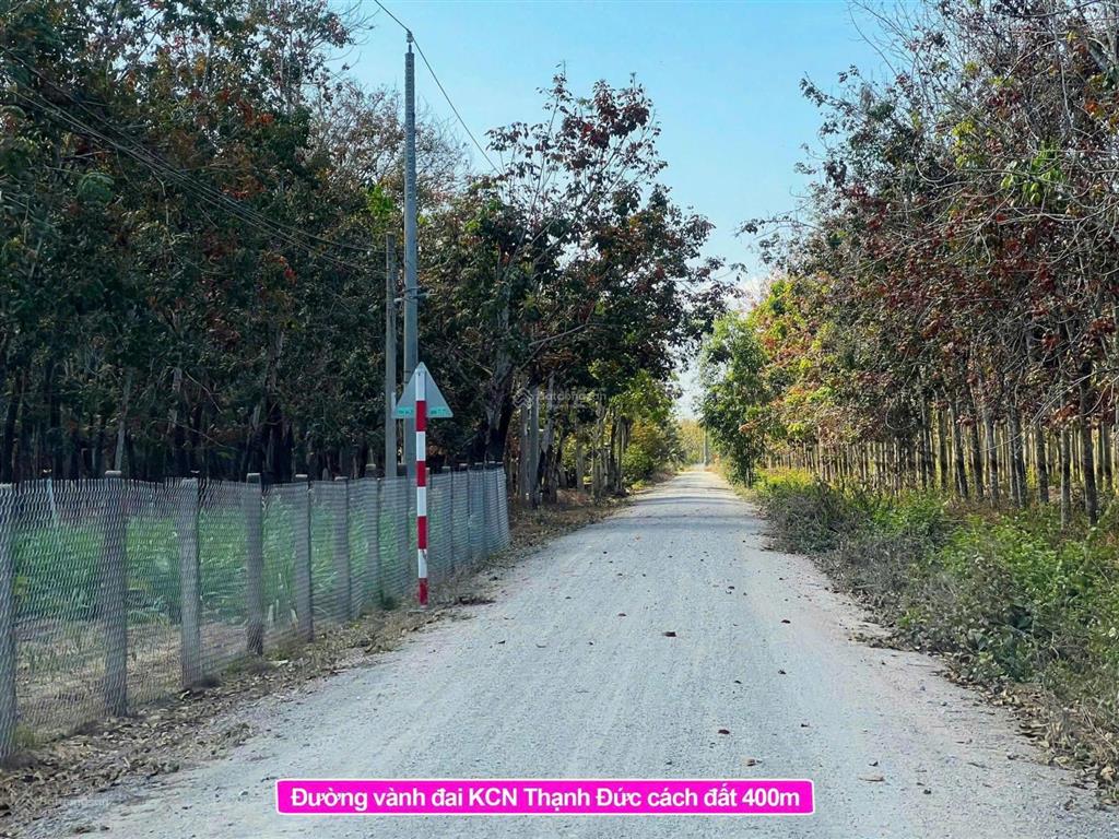 Giá 239 triệu chấn động thật sự! đất tại gò dầu mà chỉ 239 triệu là quá hiếm trên thị trường