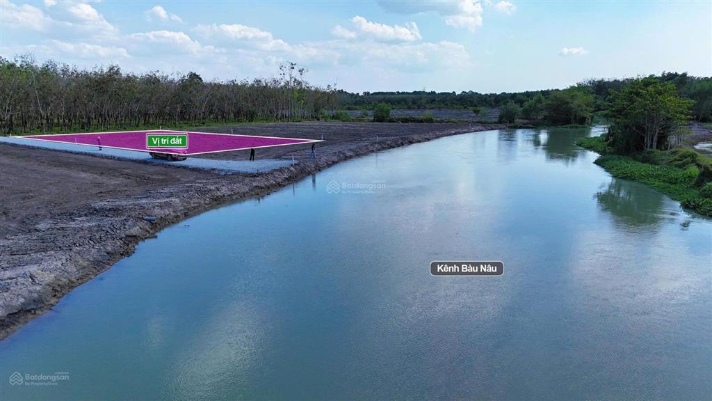 Giá 239 triệu chấn động thật sự! đất tại gò dầu mà chỉ 239 triệu là quá hiếm trên thị trường