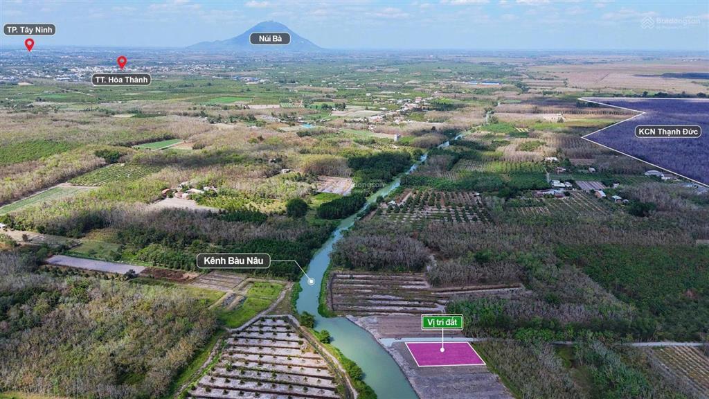 Giá 239 triệu chấn động thật sự! đất tại gò dầu mà chỉ 239 triệu là quá hiếm trên thị trường