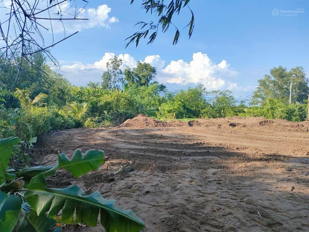 Chính chủ cho thuê đất trống mt kênh 19/5 tân lân