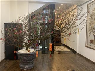 Bán nhà mặt phố phó đức chính 6 tầng thang máy,đi bộ ra hổ tây,trúc bạch .dt75 m2,mt4,5m giá 52,8tỷ