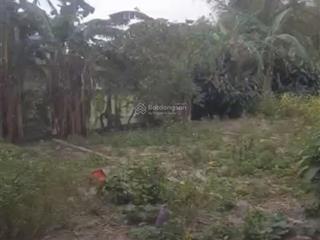 Bán nhà riêng và đất nhà tại thôn an hà, xã nam cửa việt