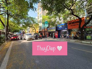 Mặt phố núi trúc  giảng võ  ba đình 137m²  4 tầng  mặt tiền 5m  giá 63 tỷ