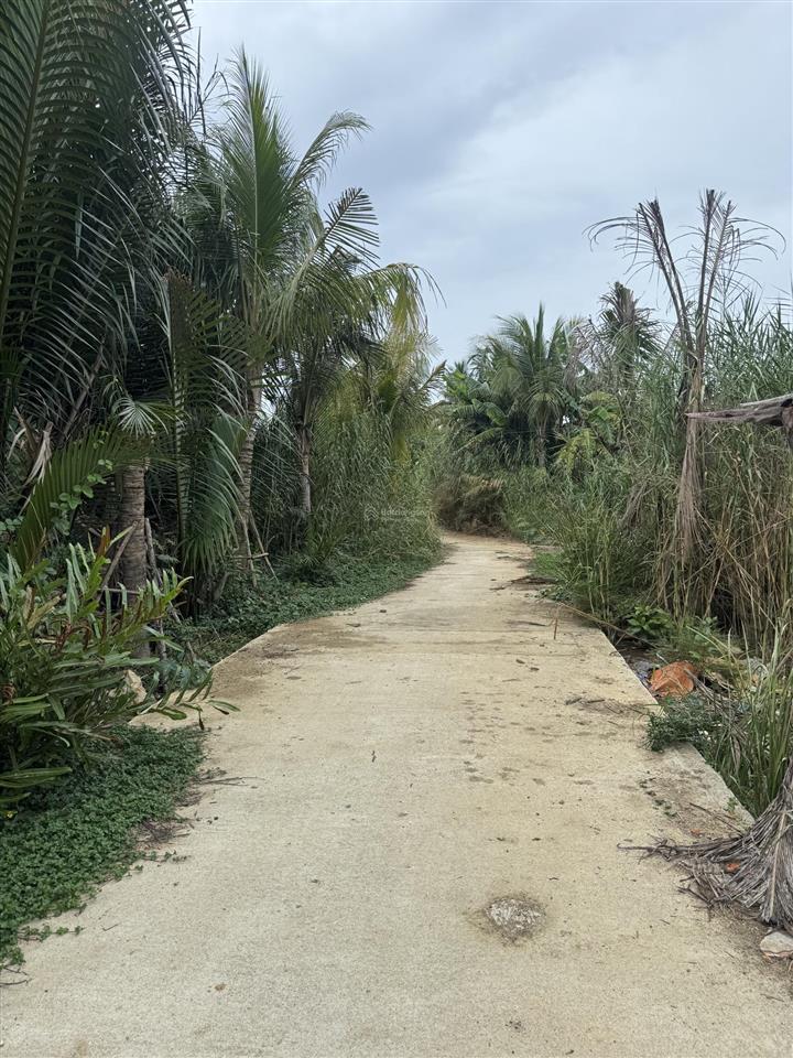 Mặt tiền nguyễn tri phương, thị trường chào giá 40tr/m2.e chào bán lô 2 mặt tiền view sông 2xtr/m2