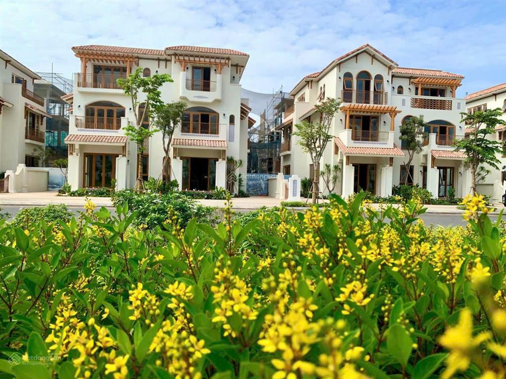 Mở bán giỏ hàng ngoại giao, nhà phố casa townhouse, sở hữu lâu dài, gần sunworld vũng tàu 15ha