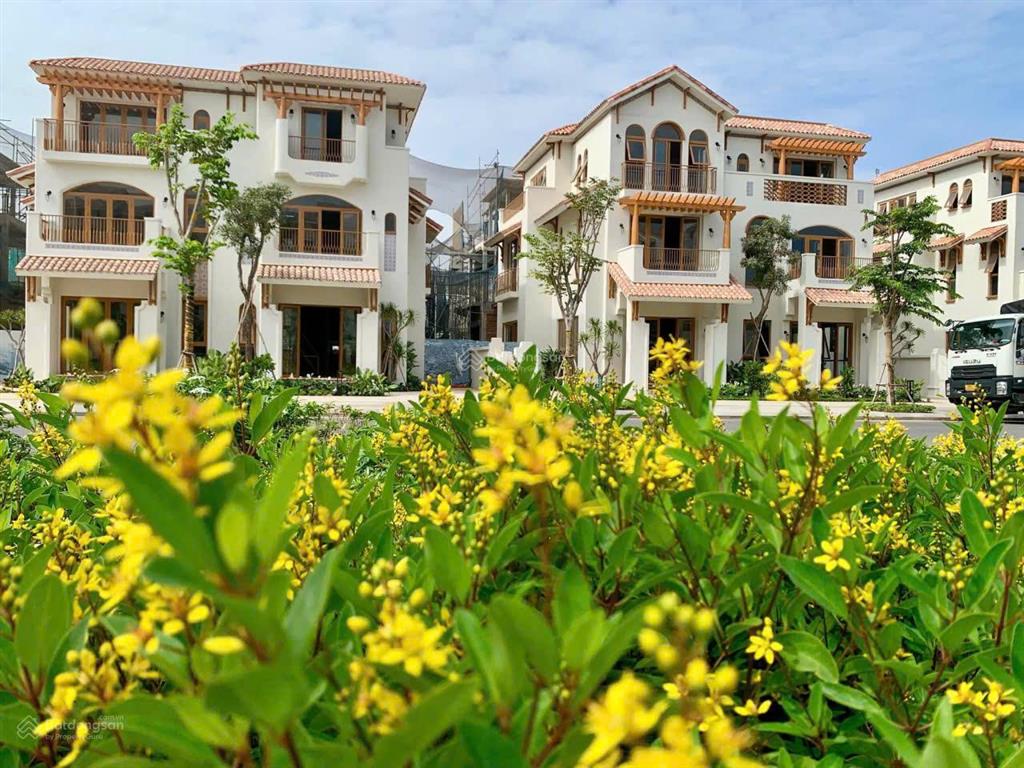 Mở bán giỏ hàng ngoại giao, nhà phố casa townhouse, sở hữu lâu dài, gần sunworld vũng tàu 15ha