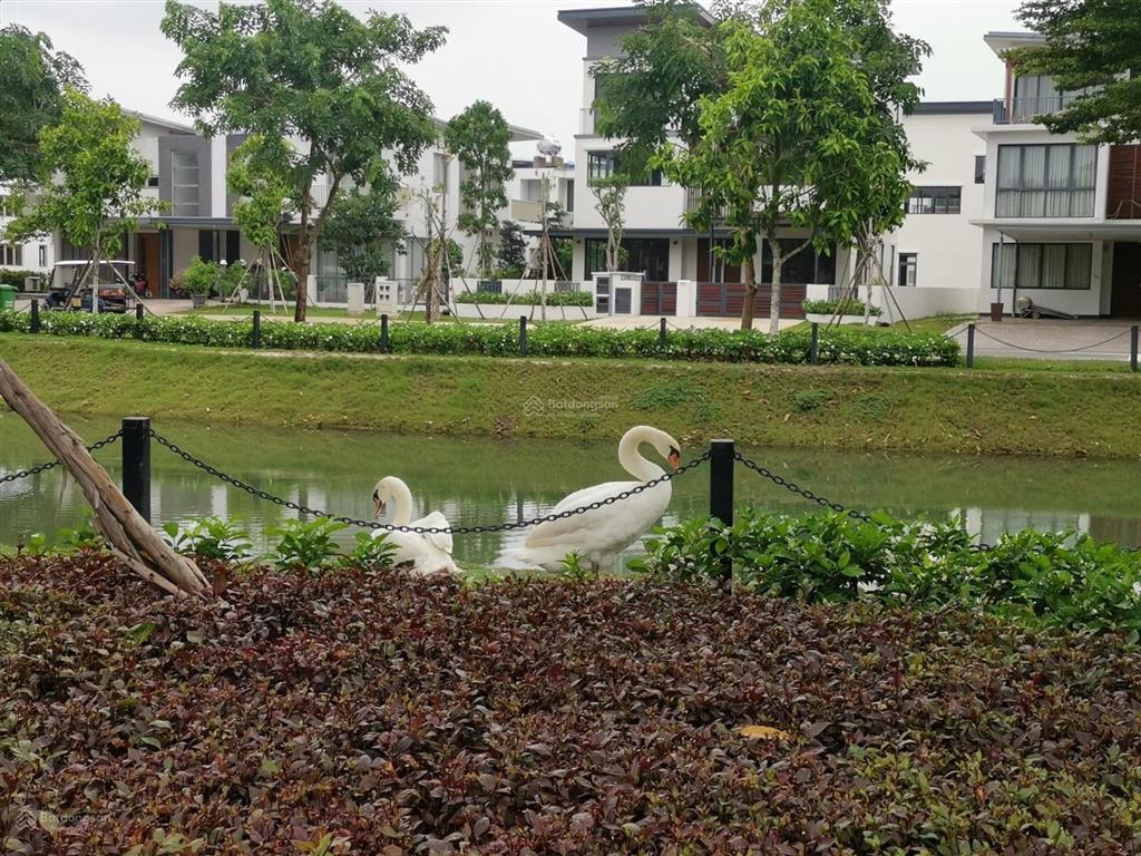 Zone 5  biệt thự song lập 320m2 giá chỉ 17 tỷ full. có sổ hồng.