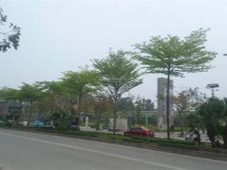 Bán gấp nhà mặt phố lê trọng tấn hà đông, vị trí siêu đẹp, 110m giá 33.8 tỷ