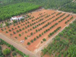 Lô đất đẹp 3 mặt tiền đường nhựa lớn