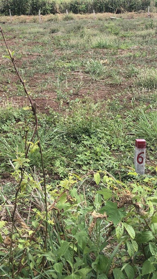 Lô đất xã quảng thành, châu đức, vũng tàu