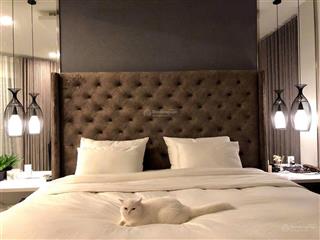 Xuất cảnh bán gấp  bán nhà hoa lan 60m² 4 tầng  29 tỷ