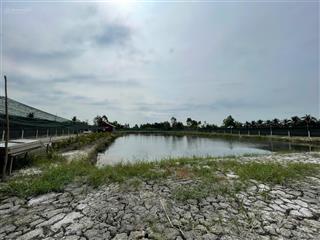 Chính chủ cho thuê đất nông nghiệp 5000m2 xe tải vào tận nơi