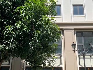 Cần bán liền kề khu vịnh tây vinhomes ocean park 3, đường 17m